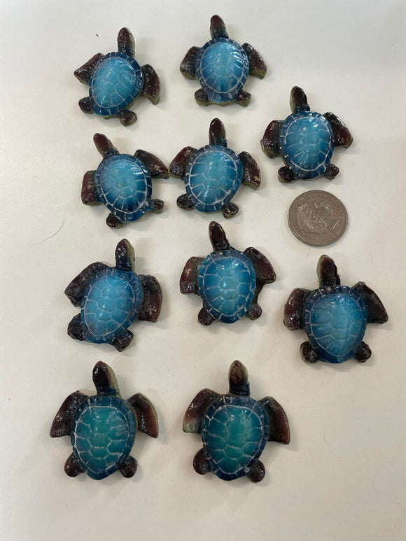 Lucky Mini Turtles - BLUE