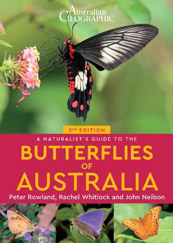 A Naturalist's Guide to Butterflies of Australia - 2nd Edition - Peter Rowland, Rachel Whitlock &  John Neilson