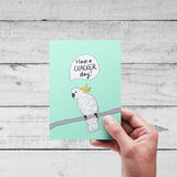 'Made By Leah' Assorted Greeting Cards LOCAL ARTIST! CLICK ON PIC FOR ALL DESIGNS