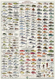 Whitsunday and Islands Wall Chart - Folded - Not Laminated MC650F