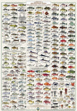 Whitsunday and Islands Wall Chart with Fish ID on the back - Laminated MC650L