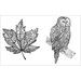 Nature Colour Vibes Adult Colouring Book (044)