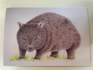 RJ Addison Blank Cards - Wombat - LOCAL ARTIST