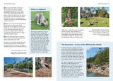Walking The Whitsundays – A Guide to 45 Island and Mainland Walks – NEWLY RELEASED