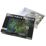 Paper Create 1000-Piece Jigsaw Puzzle, Peacock
