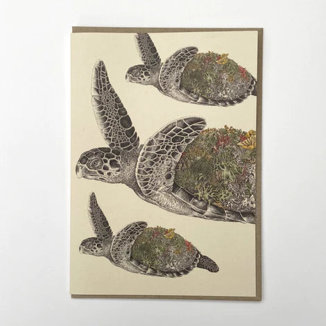 Marini Ferlazzo Greeting Card - Hawksbill Sea Turtle