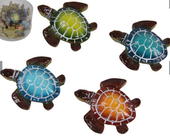 Lucky Mini Turtles - Assorted Colours