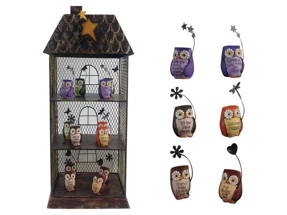 9cm Mini Owls with Wording & Display 12 Asstd