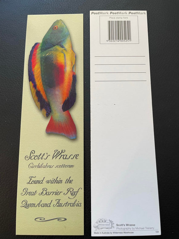 Bookmark - Scott's Wrasse