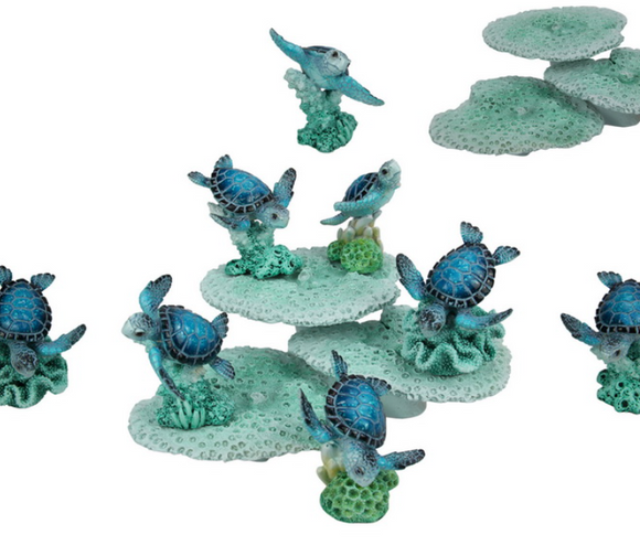Assorted Turtles on Coral Base