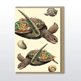 Marini Ferlazzo Greeting Card - Green Sea Turtle