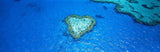 Acrylic Artwork - Heart Reef Panel - Great Barrier Reef by Ric Steininger Gallery