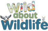 Wild About Wildlife: Hours of Fun and Puzzles for Adventurous Kids LOCAL AUTHOR