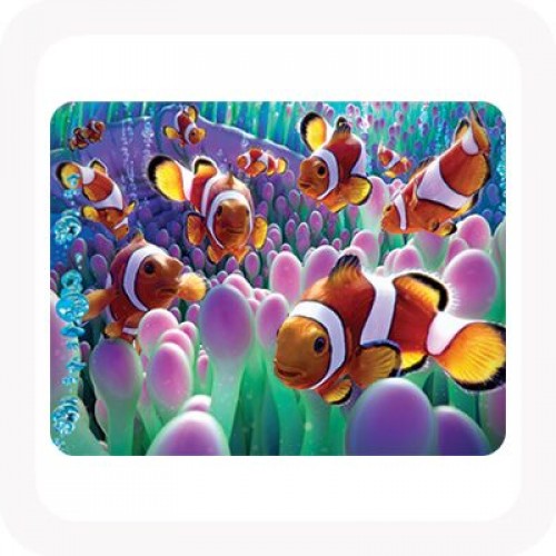 Magnet - Clown Fish 3D