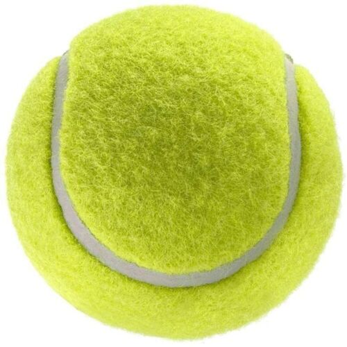 Circuit Tennis Ball